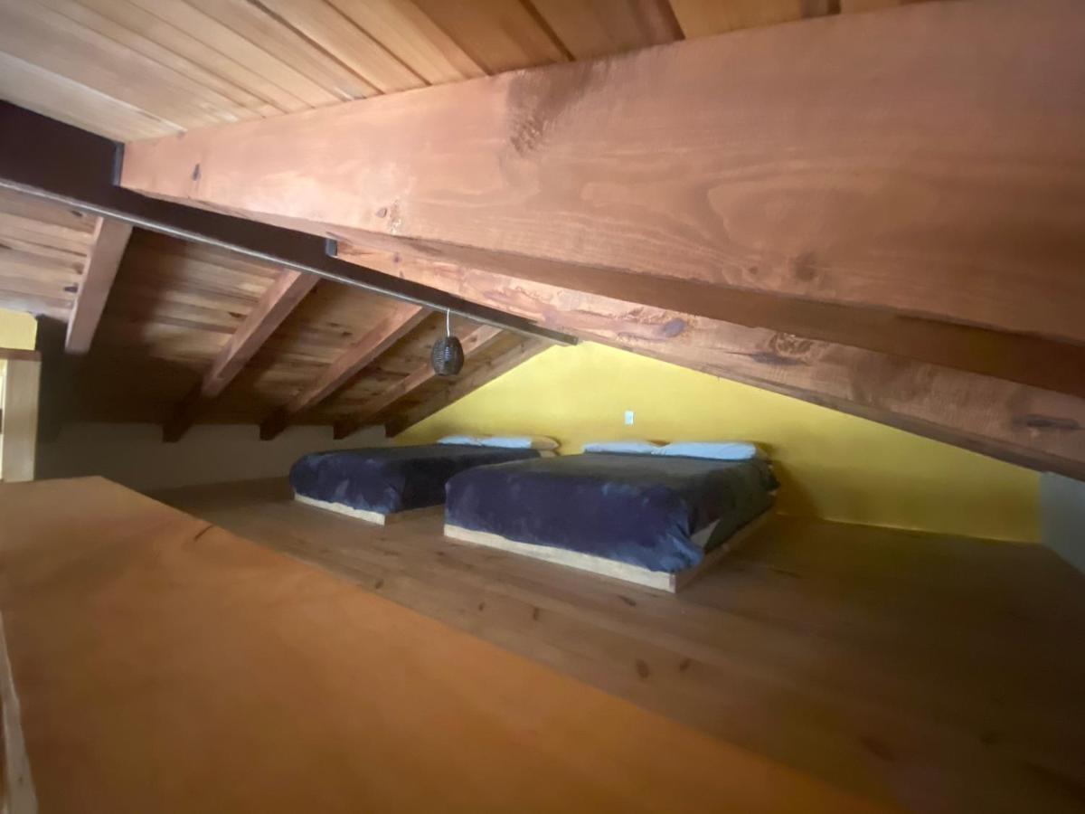Los Pirineos مازاميتلا المظهر الخارجي الصورة