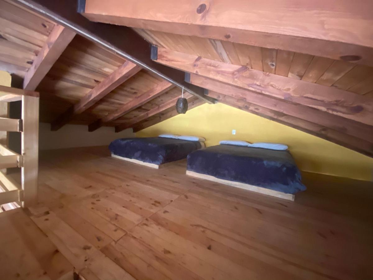 Los Pirineos مازاميتلا المظهر الخارجي الصورة